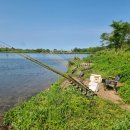 매운탕거리 이미지