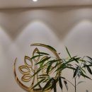 CU청주금천효성점 | [청주 금천동] 제나요가 금천 리뷰_1년 이상 회원권 후기, 빈야사 / 하타 / 리프레시 릴랙스 요가, 애정...