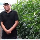 포천농약사 이미지