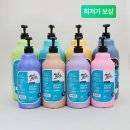 몽마르뜨