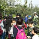 성심농장 이미지