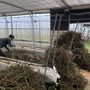 화성시 농업기술센터 이미지