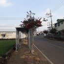 동일리 지석묘 4호 이미지