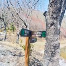 해평호주차장 이미지