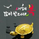 일월일일 - 서구 성산길 31 | 일월일일