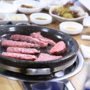 삼가황소고집