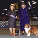 리버티벨 이미지