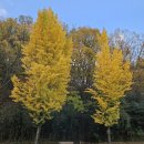 왕신3리 이미지