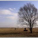 석양 속 생명의 날 이미지