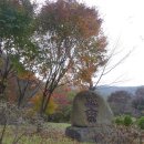 고종시마실길 이미지