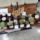 말띠(66년생)'환갑준비모임' 발족 이미지