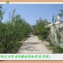 김철우농장 이미지