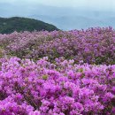 강산