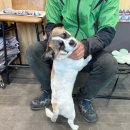 오일전문샵카센터 이미지