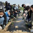 형남초등학교 이미지