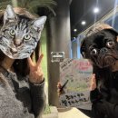 원정(통안)경로당 | 방탈출과 일상, 그리고 대구 방탈출 원정마저 다녀온 일상