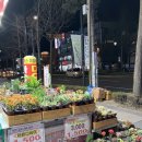 생활용품 싸게파는집 이미지