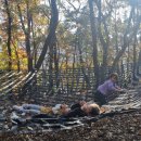 창의놀이 수학 지도사 자격과정 이미지