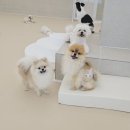 덕양로 | 여수 스토리멍 유치원 후기 [내돈내산]