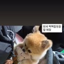 박*제