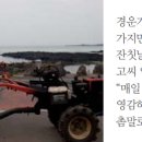 세화장 이미지