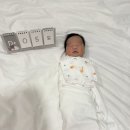 한마음정신병원 | 임신일기 마지막 이야기. 39주 3일 출산 이야기. 한마음병원 제왕절개 후기