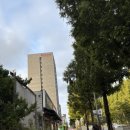 라마다군산호텔 | 라마다 군산 호텔 후기｜디럭스 온돌룸 가족 숙박 &amp; 은파호수공원 근처 호텔