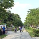 경춘선숲길 이미지