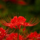 구미에코랜드생태숲 화장실 이미지