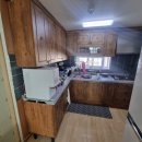 부평 페트 이미지