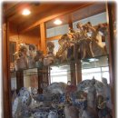 요기사이소 이미지