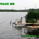 월곡 낚시터 이미지