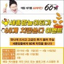 60계세종 이미지