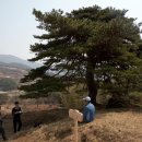 노고지리민박 Daum카페