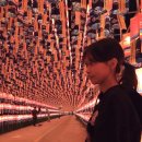 어묵먹고갈래 건너편 | 진주 유등축제 다녀오기