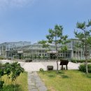 로드매너저 이미지