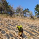 광재농장 이미지