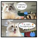세상은 공평하지 않아 분노의 4월 시작