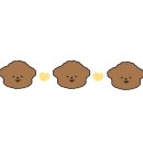 세차의 고수(죽도점) 이미지