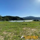 양평다온공인중개사사무소 이미지