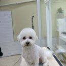 마음이네 멍발소 이미지