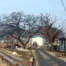 입석1구 티스토리