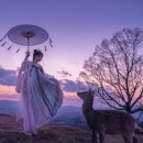 A&B행정사사무소 이미지