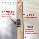 참황토참숯