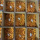 진석농장 이미지