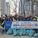 새봄이야 이미지