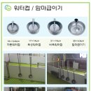 피그텔 이미지