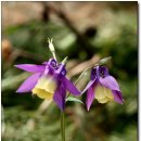 광주도자기엑스포장 이미지