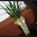 스포츠 당구장 이미지