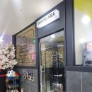 욜로피씨 이미지